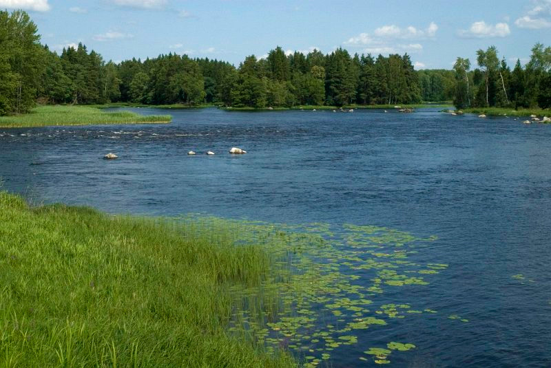 biodiversite